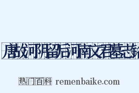 唐故河阴留后河南文君墓志铭是什么意思的图片